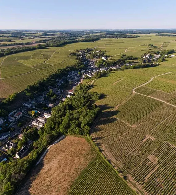 domaine