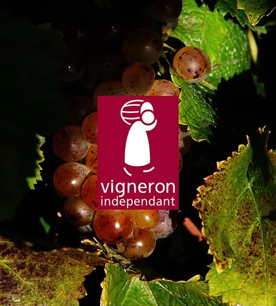 vigeron indépendant