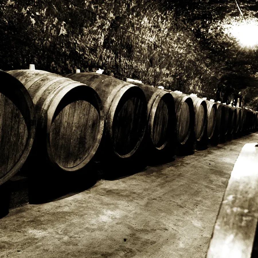 Domaine Pinon 2