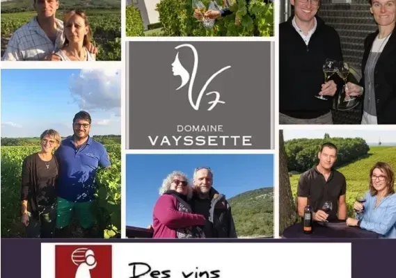 Domaine VAYSSETTE à GAILLAC " Les copains vignerons débarquent"